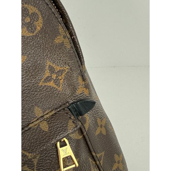 Louis Vuitton Palm Springs Backpack Monogram Canvas MM - Picture 8 of 16